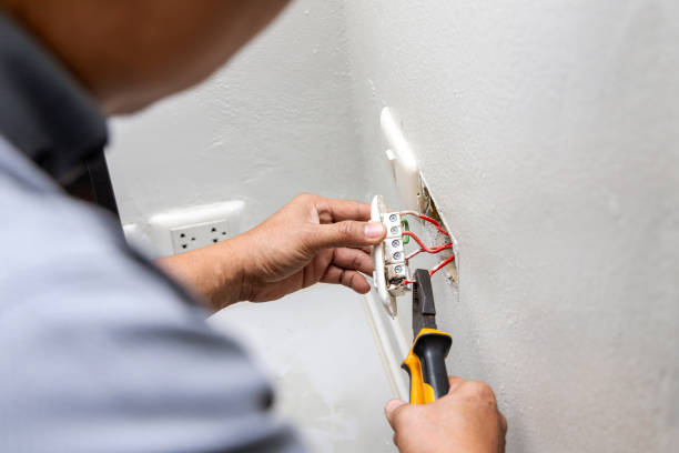 Best Electric Panel Repair  in Byron, IL